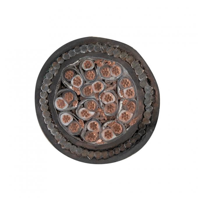 PVC PE XLPE Insulated Screened Swa Armored Fire Resistance Flame Proof Instrument Cable Control Cable