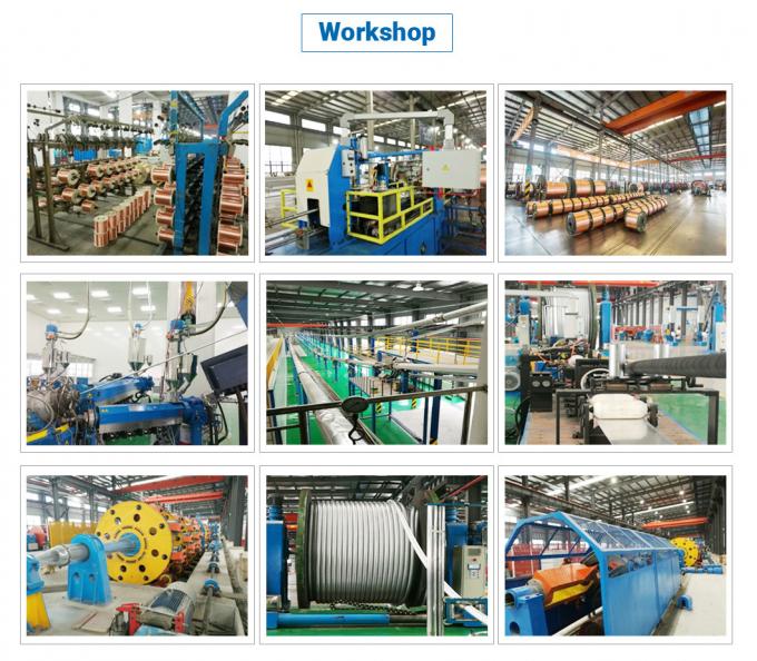 0.6/1 (1.2) Kv Low Voltage 3 Cores Cu (AL) /PVC/PVC Copper/Aluminum Unarmored Power Cable